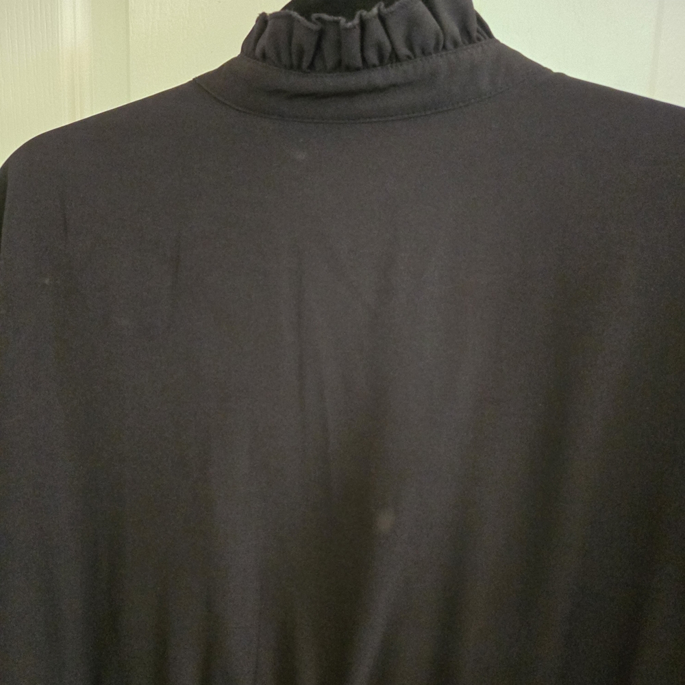Elegant Black Ruffled Dress - Picture 6 of 7